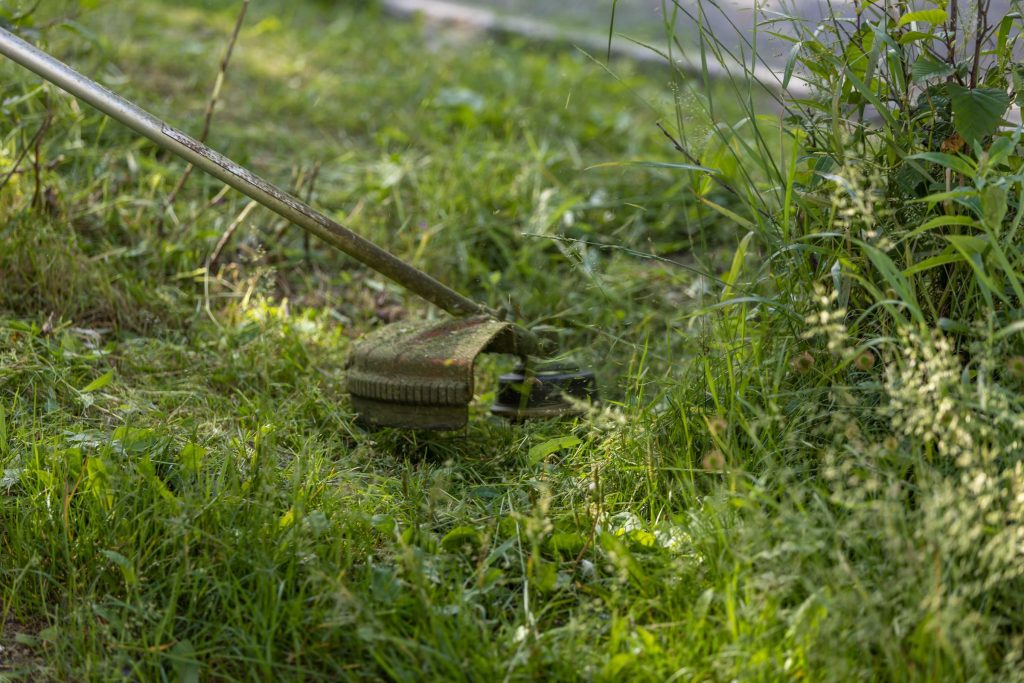 Gärtner beim Heckenschnitt in einer gepflegten Grünanlage